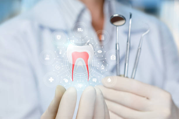 Best Root Canal Treatment  in Hawthorne, FL